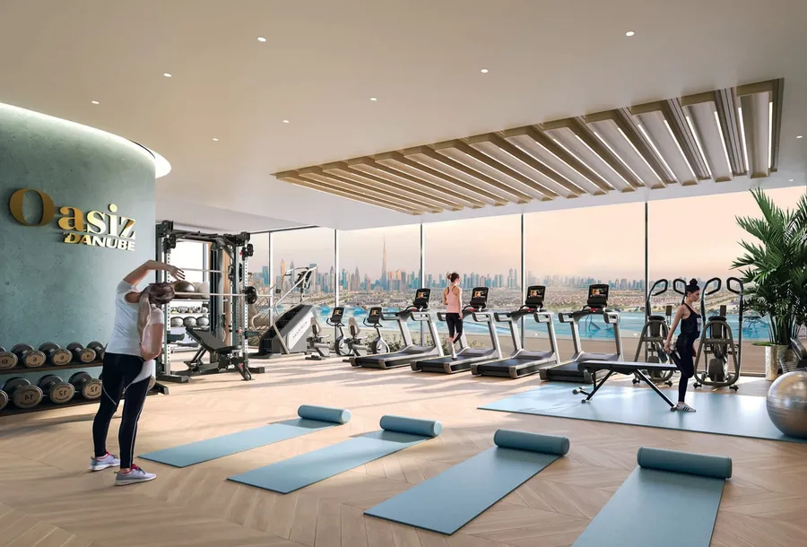 Indoor Gym at Oasiz 2.