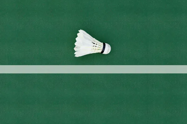 Badminton Court at Oasiz 2.