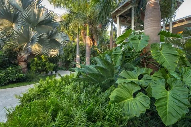 Landscaped Gardens at Binghatti Skyrise.