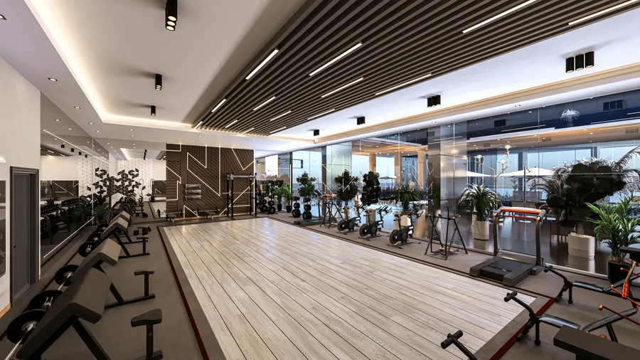 Gym at Elitz 2.