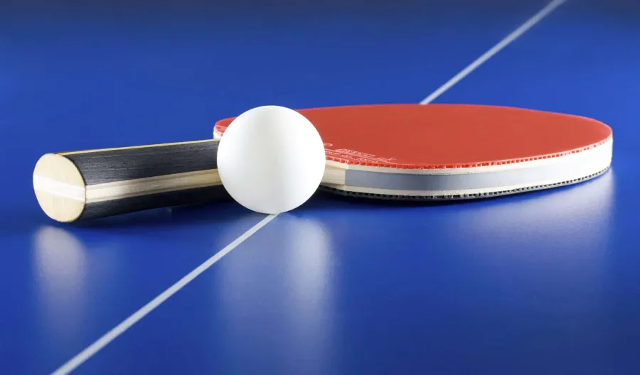 Ping Pong Table at Palace Residences Hillside.