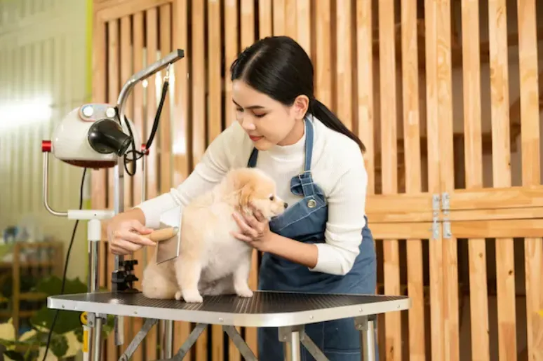 Pet Spa and Grooming at The Row Saadiyat.