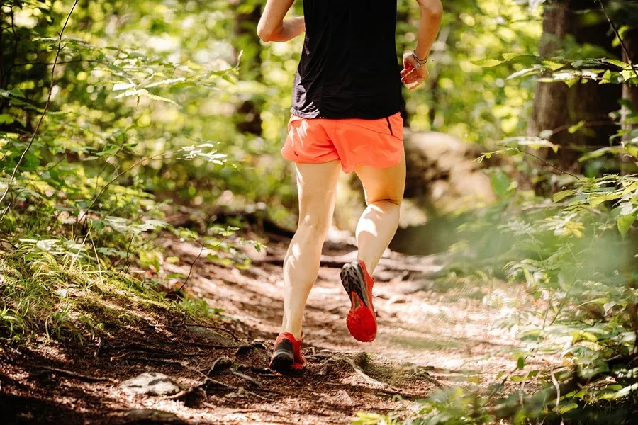 Woodland Jogging Track at Masaar 2 Coral.